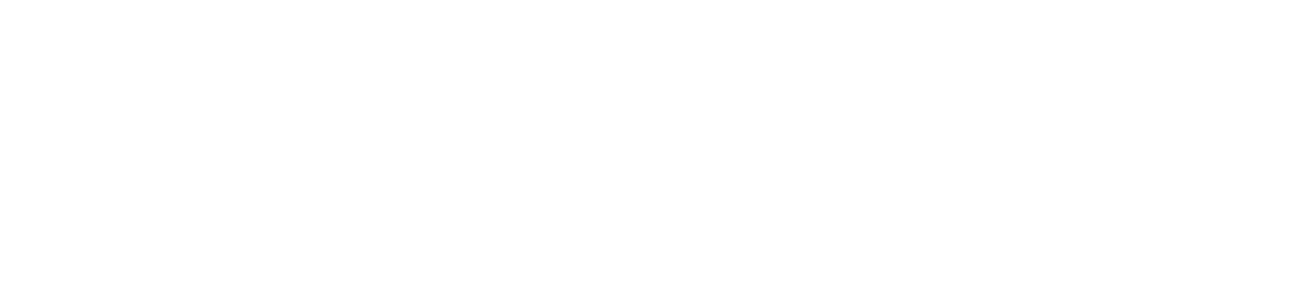 logo light